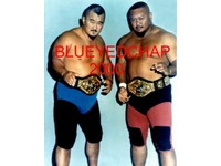 セカイモン プロフェッサー タナカ ユニフォーム グッズ Ebay公認海外通販 日本語サポート 日本円決済