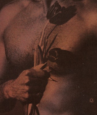 Various - AON001 - New Cassette - T4593z