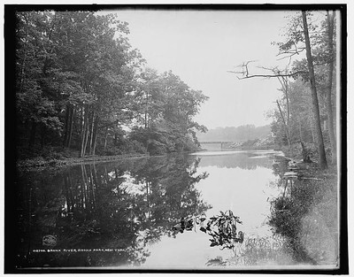 Bronx River,Park,water bodies,bridges,New York,NY,Detroit Publishing Co,c1901