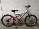 Raleigh Shine MTB 