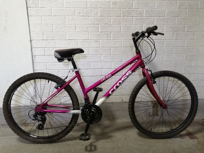 cross lxt300