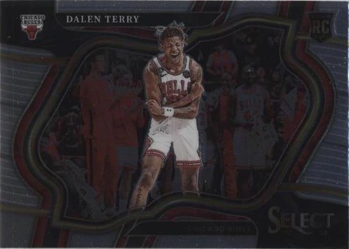 2022-23 Panini Select - Dalen Terry #275