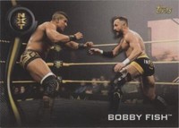 2019 Topps WWE NXT - Bobby Fish #6