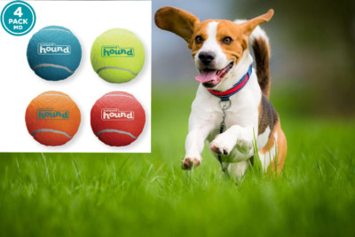 Outward Hound Squeaker Ballz Balls Fetch Dog Toy, Small- 4 Pack