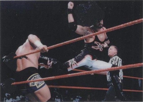 1999 Comic Images WWF SmackDown! Chromium - 1-2-3 Kid Hardcore Holly #83