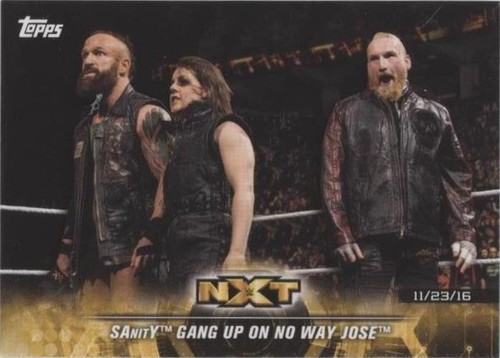 2018 Topps WWE NXT - Sanity #18