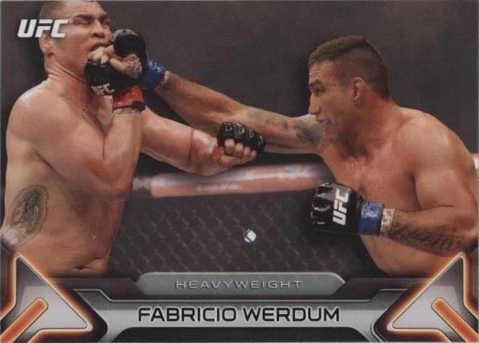 2016 Topps UFC Knockout - Fabricio Werdum #27