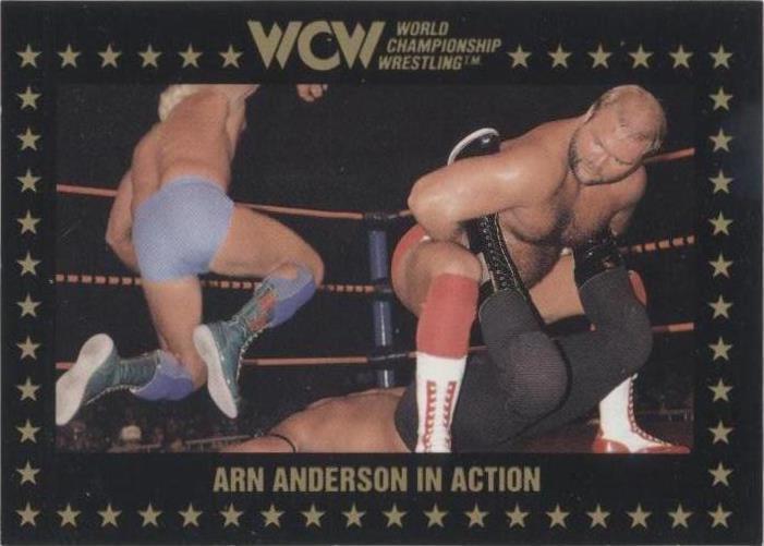 1991 Championship Marketing WCW - Arn Anderson #108