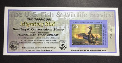 #RW67A 2000 - 2001 - US Federal Duck Stamp - Post Office FRESH