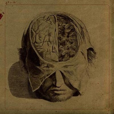 Farsot - Insects CD 2011 experimental black metal Prophecy Productions