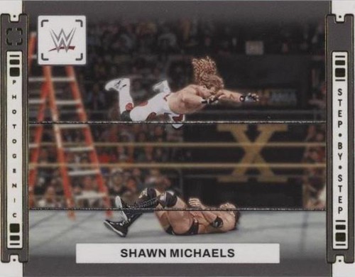 2024 Panini Photogenic WWE - Shawn Michaels #4