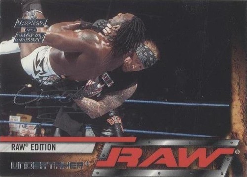 2002 Fleer WWE RAW vs SmackDown! - Undertaker #2