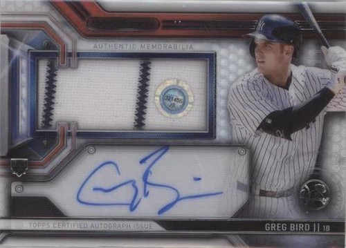 2016 Topps Strata - Greg Bird #CAAR-GB