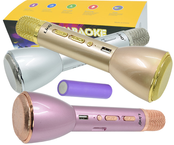 Microfono Cassa Wireless Bluetooth Karaoke Portatile Ricaricabile Linq Li-K08