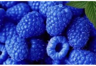 Blue Raspberry Hard Candy(*type) Perfume Body Oil .3oz Rollon For Women Teens