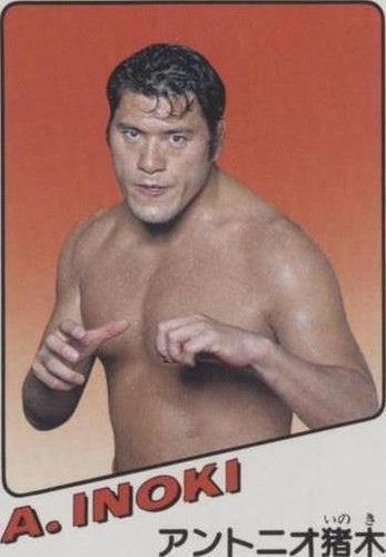 1981 Takara Wrestling Game Wrestling Trading Cards