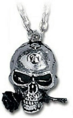 The Alchemist Pendant Pewter ALCHEMY Gothic
