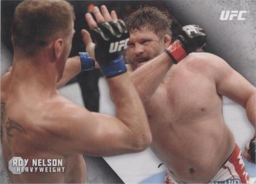 2015 Topps UFC Knockout - Roy Nelson #30
