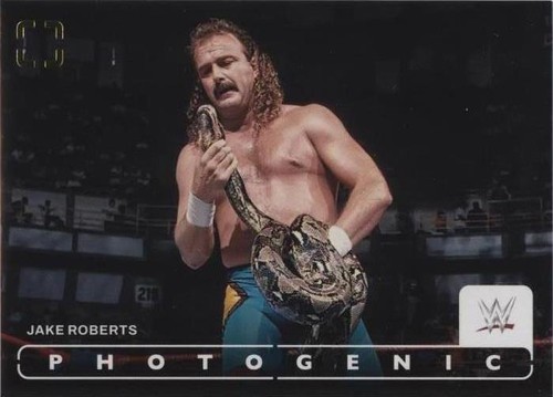2024 Panini Photogenic WWE - Jake "The Snake" Roberts #26