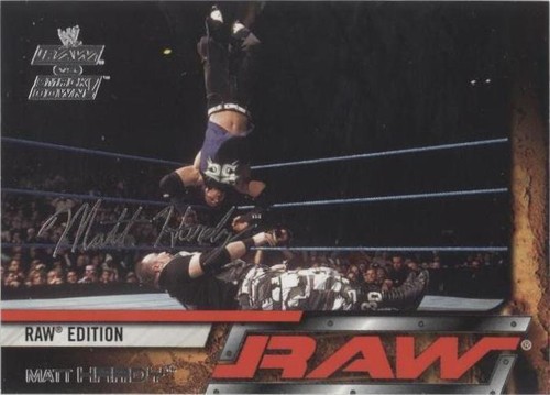Programme Officiel WWE Raw & SmackDown 2002 - Très Bon État - Livraison Gratuite