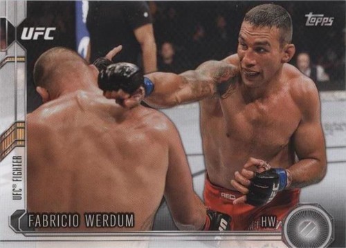 2015 Topps UFC Chronicles - Fabricio Werdum #46