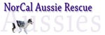 NorCal Aussie Rescue, Inc.