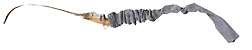 Western Recreation Ind Vista Recurve Bow Sock