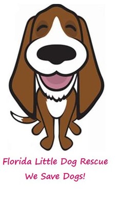 Florida Little Dog Rescue