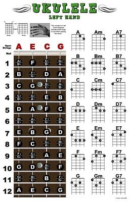 Left Hand Ukulele Chords Chart Printable