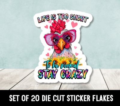 Funny Chicken Life Is Too Short  Die Cut Stickers Happy Mail -  Set of 20