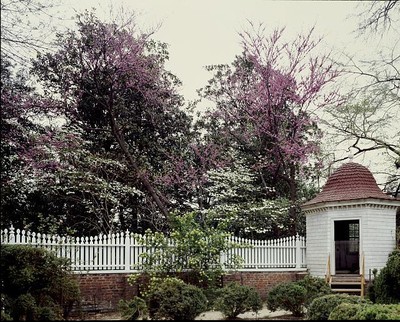 Garden,George Washington's Estate,Mount Vernon,Virginia,VA,Carol Highsmith