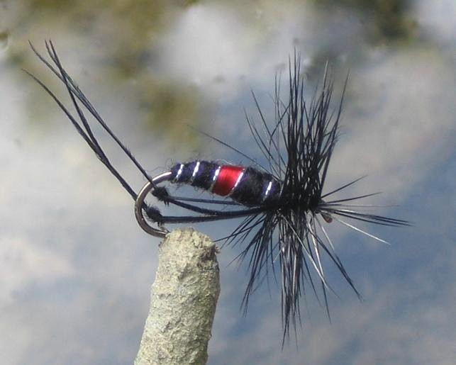 Hasenohr GILCHRIST FLIEGEN 6 Stück von einer Größe Nassfliegen GRHE