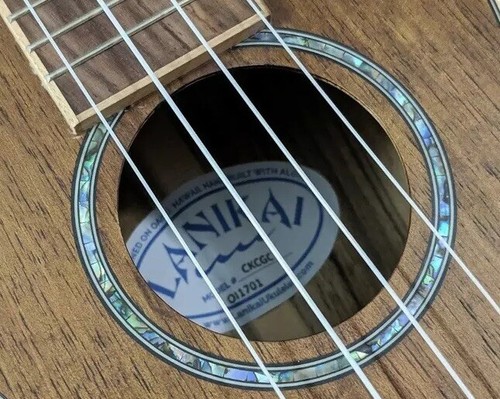 LANIKAI CONCERT UKULELE CKCGC - BRAND NEW!