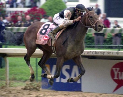 Mine That Bird 2009 Kentucky Derby Finish Photo 8'' x 10 - 24'' x 30''