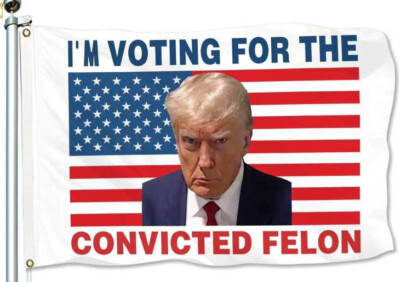 3X5 I'M VOTING FOR THE CONVICTED FELON TRUMP 2024 WHITE FLAG BANNER 100D R1