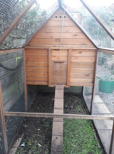 Wooden Canterbury Chicken House And Run Walk In Design In Exmouth Devon Gumtree