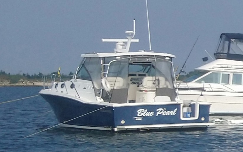 2006 Wellcraft Coastal 330 Volvo D6 Diesel engines