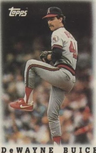 1988 Topps League Leaders Minis - DeWayne Buice #4