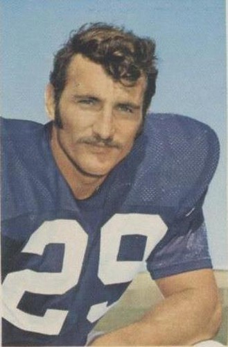 1971 The Wonderful World of Pro Football USA Player Stamps Karl Kassulke #217