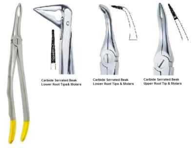 3 FINE TIP ROOT Extracting Forceps Dental Instruments