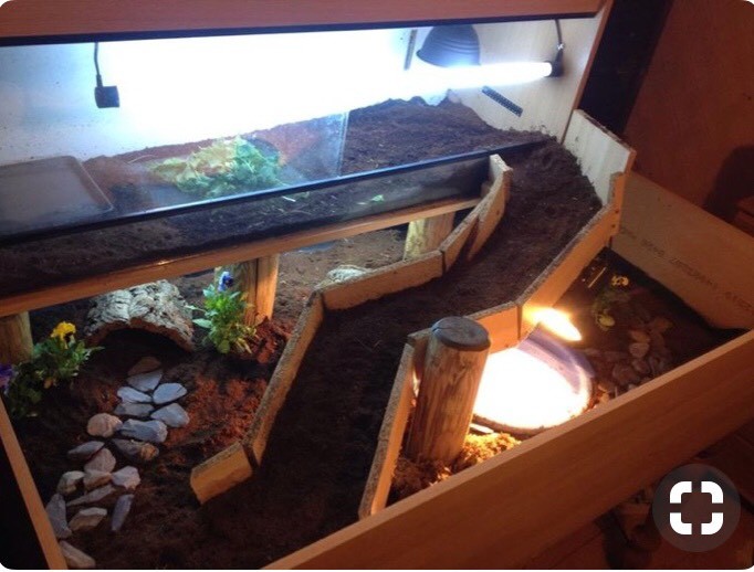 Wanted Quotes For Carpenter Joiner To Build Custom Tortoise