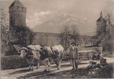 BEAUTIFUL ALBUMEN PHOTO OF MAN   CHILDREN W/ HIS OXES   CART 