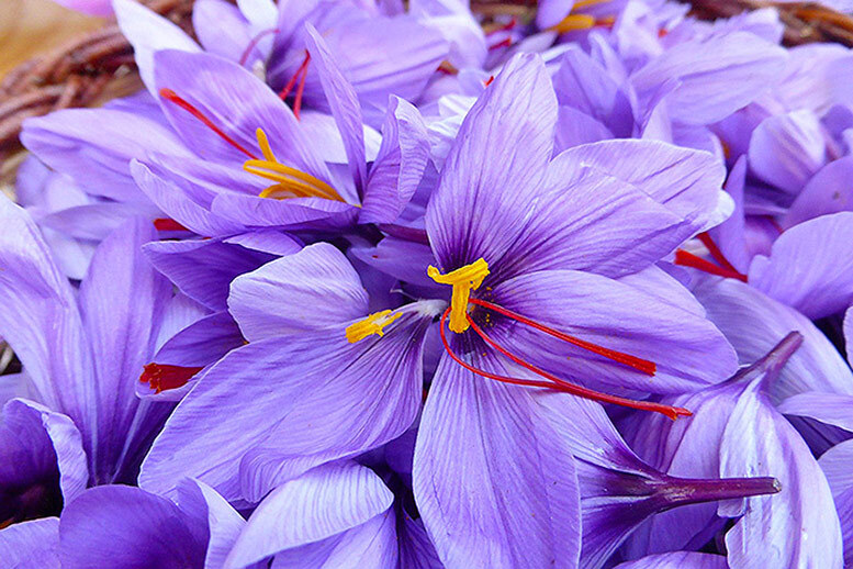 Organic Red Saffron Finest Pure Premium Spices Threads Grade A+ Original Genuine