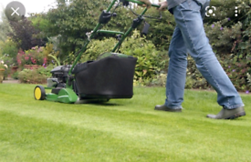 Grass cutting and rubish removal 