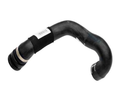 メル37250 Genuine OEM Lower Radiator Coolant Hose For BMW 11531711878