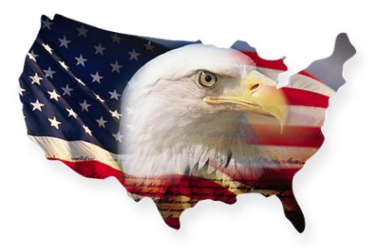 HO Slot Car Parts - HCS AMG - Pick Up SHOES T-JET - Lot of 5 Sets