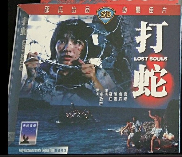 Lost Souls (1980)vcd | eBay