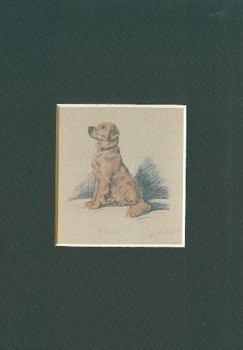 -- Golden Retriever - Dog Art Print - Dawson CLEARANCE