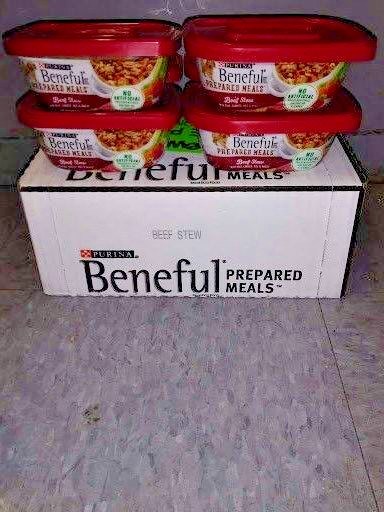 x14 Purina Beneful Prepared Meals Beef Stew 10 Oz 14 count Best Before Mar 2020