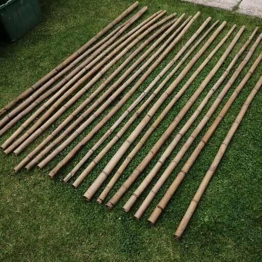 Bamboo Poles for sale in UK 57 secondhand Bamboo Poles